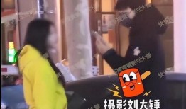 刘大锤爆料男仆视频,男仆视频背后的真实故事